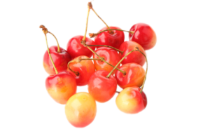 Rainier cherry