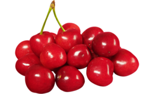 Sour Cherries